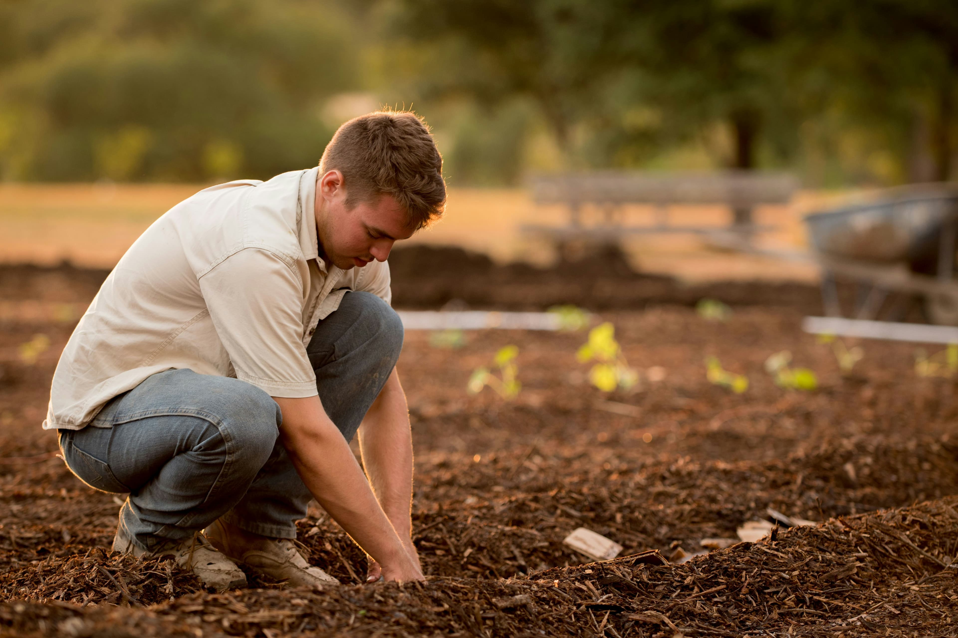 A farmer working the soil in golden afternoon light