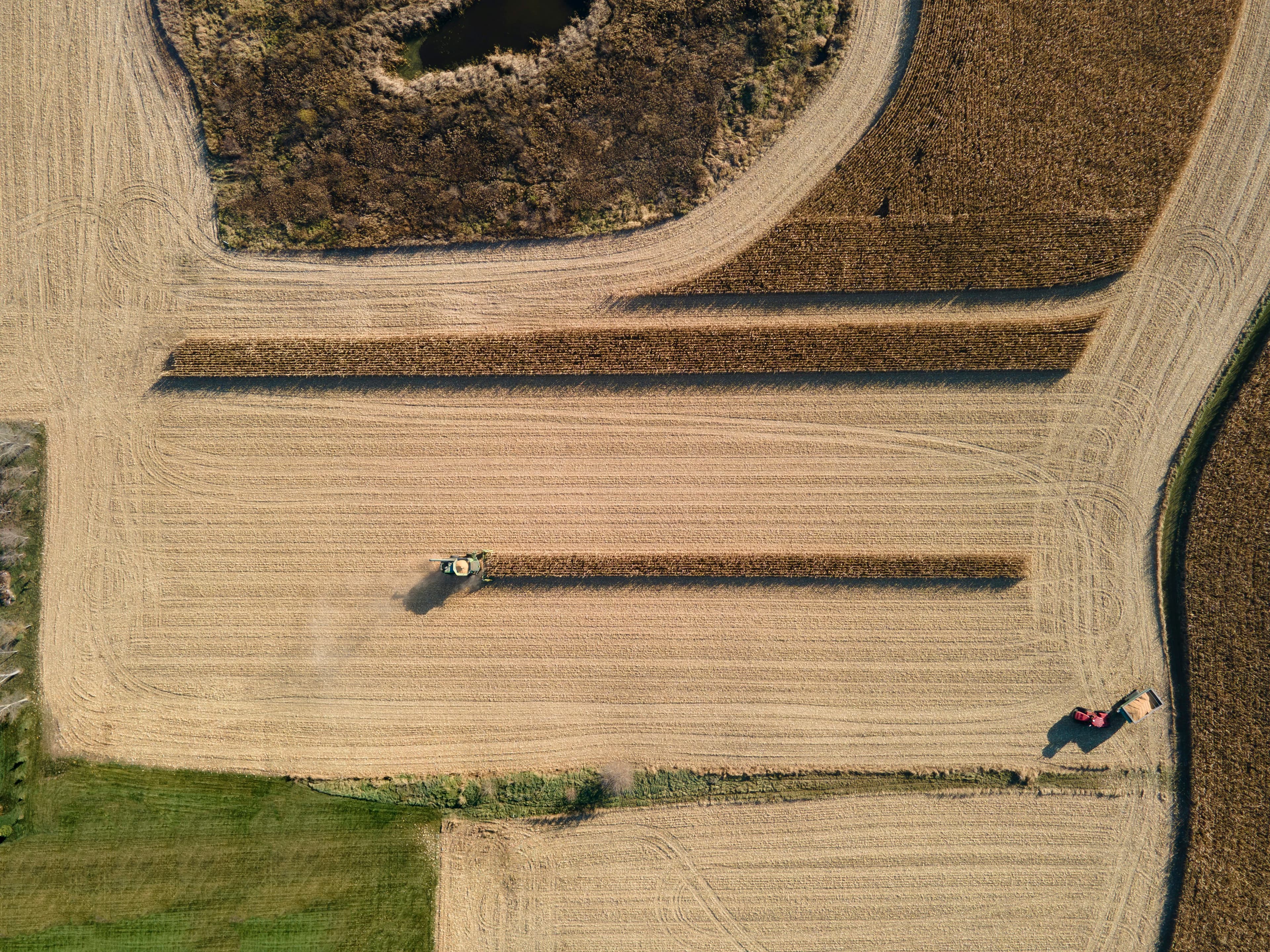 Aerial view of a header harvesting an Australian grain paddock