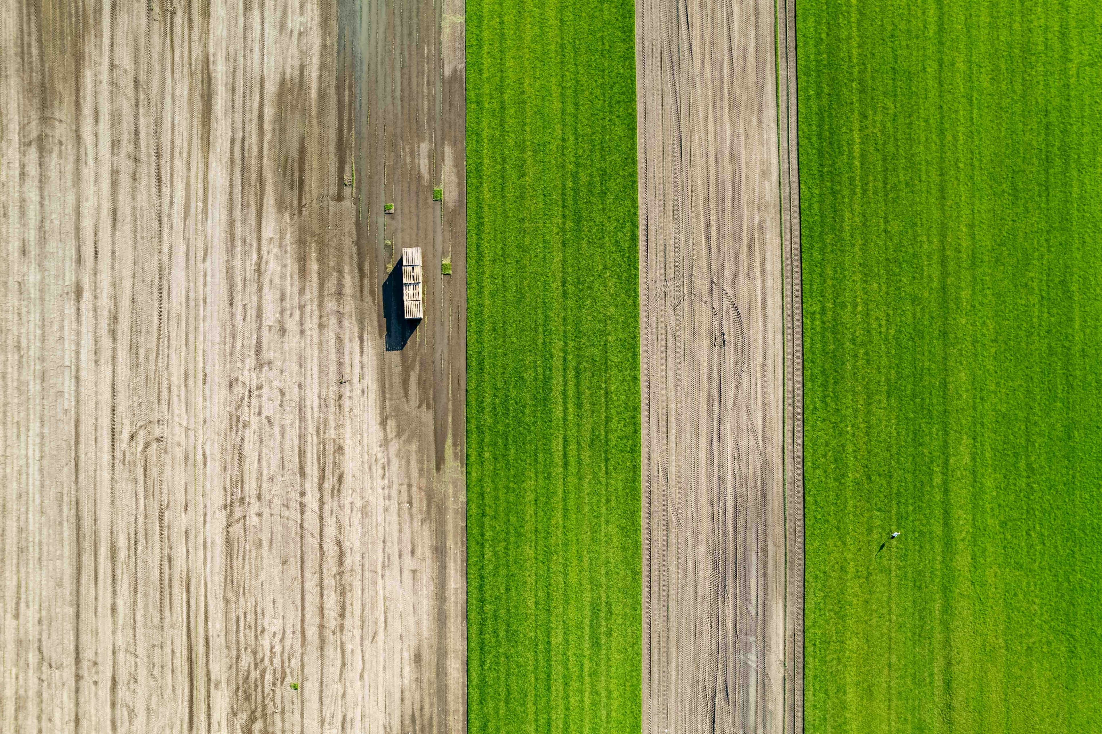 Aerial view of cultivated crop strips